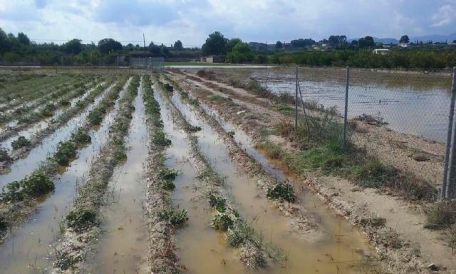 El Ayuntamiento de Ceutí pedirá una indemnización a la CHS por la inundación en Los Torraos