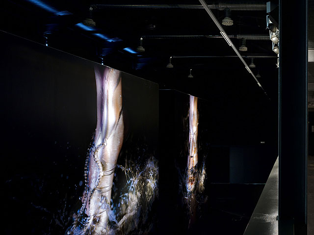 Marilyn Minter, Kicksilver