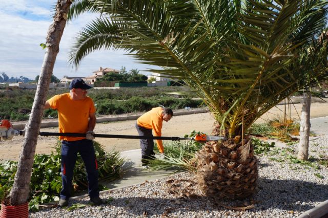Comienzan en Ceutí las obras de reparación de los parterres del carril bici y de varios parques