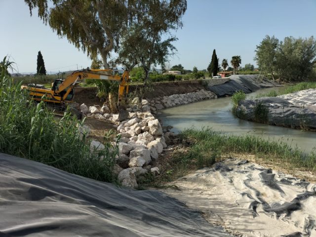 La CHS finaliza los trabajos de recuperación del bosque de ribera en el río Segura entre Ceutí y la confluencia con el río Mundo