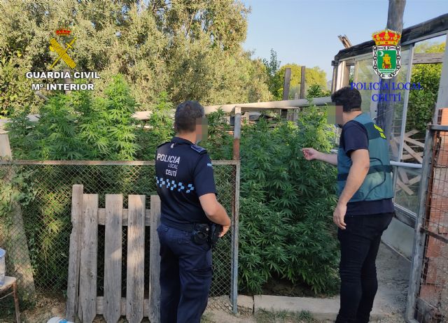 La Guardia Civil y la Policía Local de Ceutí desmantelan una plantación de marihuana