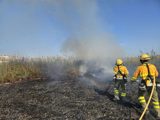 Incendio de cañas y matorral en Ceutí
