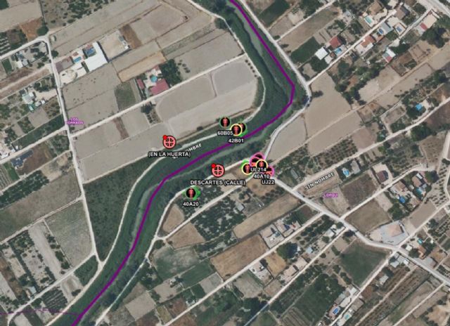 Incendios forestales en la Región de Murcia, en los márgenes del río Segura, en Ceutí y Lorquí