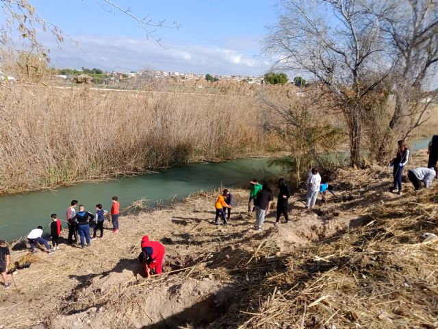 Casi medio millar de vecinos de Lorquí y Ceutí participan en la recuperación del bosque de ribera