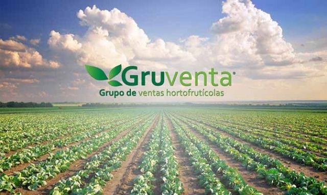 GRUVENTA pide a 2019 un año “con mayor internacionalización” para el sector hortofrutícola español