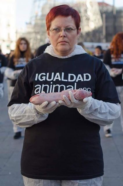 Animalistas de IU critica duramente la celebración de la ´caza del marrano´ en Ceutí
