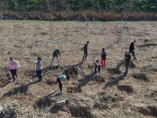 Los alumnos del instituto realizaron una plantación de arboles a orillas del Segura