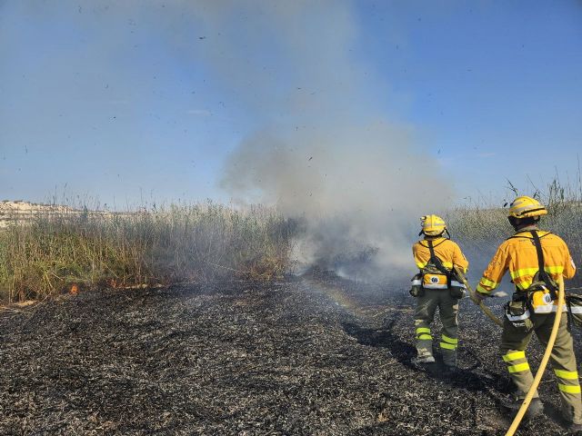 Incendio de cañas y matorral en Ceutí